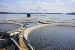 Цена на садок для выращивания рыбы