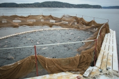 Стоит ли ремонтировать рыбоводный садок?