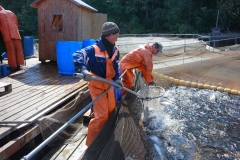 Что нужно учитывать при заказе садка для разведения рыбы?