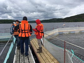 экспертный выезд