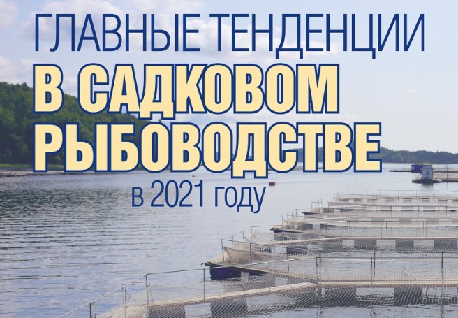 Садковое рыбоводство в 2021 г: главные тенденции на рынке Садковое рыбоводство в 2021 г: главные тенденции на рынке